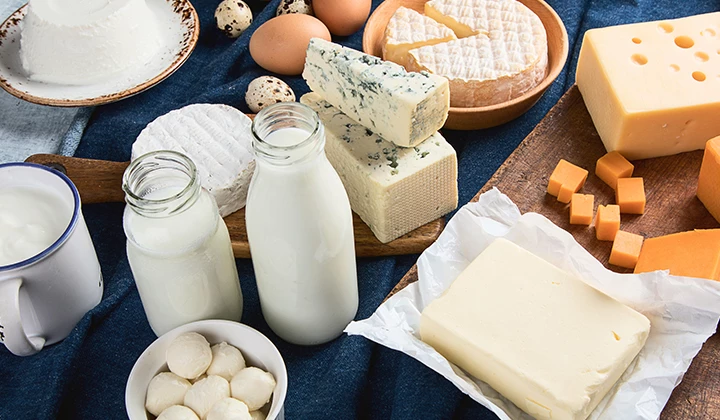 Verschiedene Milchprodukte mit Lactose Milchprodukte mit Lactose