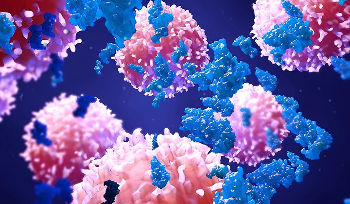 Enzyme greifen Krebszellen an Enzyme greifen Krebszellen an