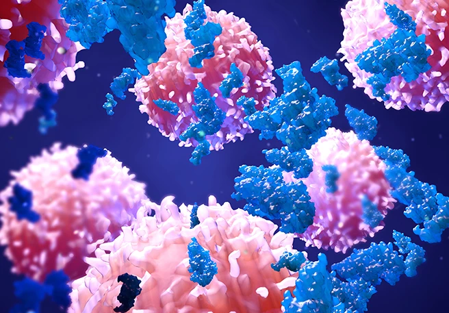 Enzyme greifen Krebszellen an Enzyme greifen Krebszellen an